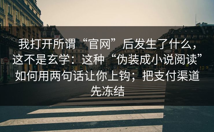 我打开所谓“官网”后发生了什么，这不是玄学：这种“伪装成小说阅读”如何用两句话让你上钩；把支付渠道先冻结