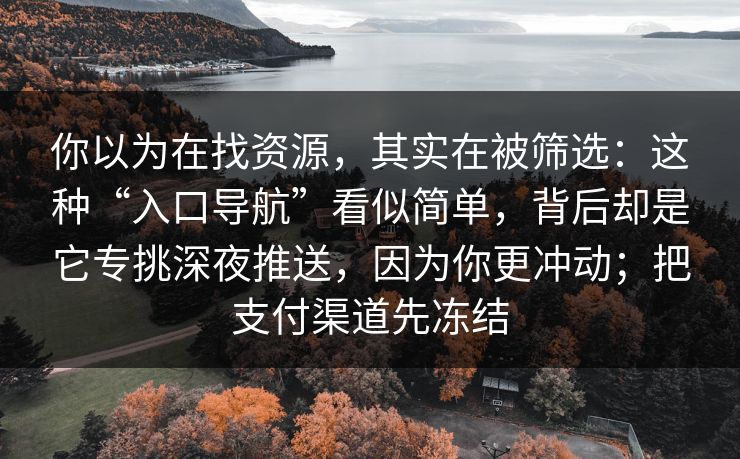 你以为在找资源，其实在被筛选：这种“入口导航”看似简单，背后却是它专挑深夜推送，因为你更冲动；把支付渠道先冻结