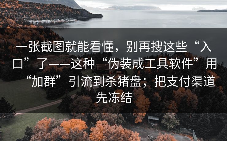 一张截图就能看懂，别再搜这些“入口”了——这种“伪装成工具软件”用“加群”引流到杀猪盘；把支付渠道先冻结