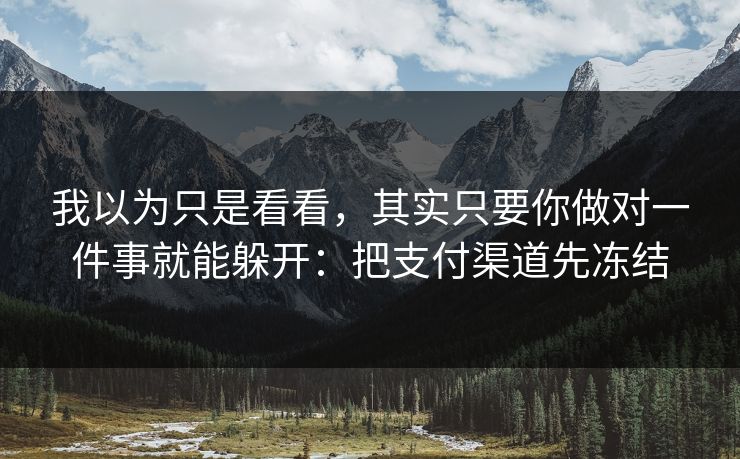我以为只是看看，其实只要你做对一件事就能躲开：把支付渠道先冻结