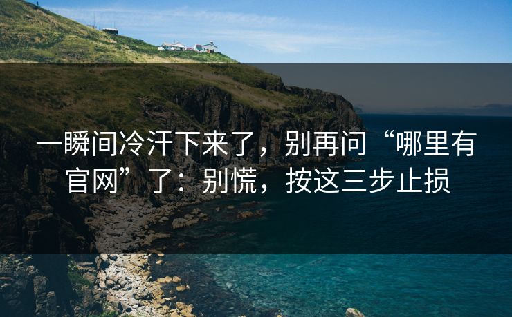 一瞬间冷汗下来了，别再问“哪里有官网”了：别慌，按这三步止损