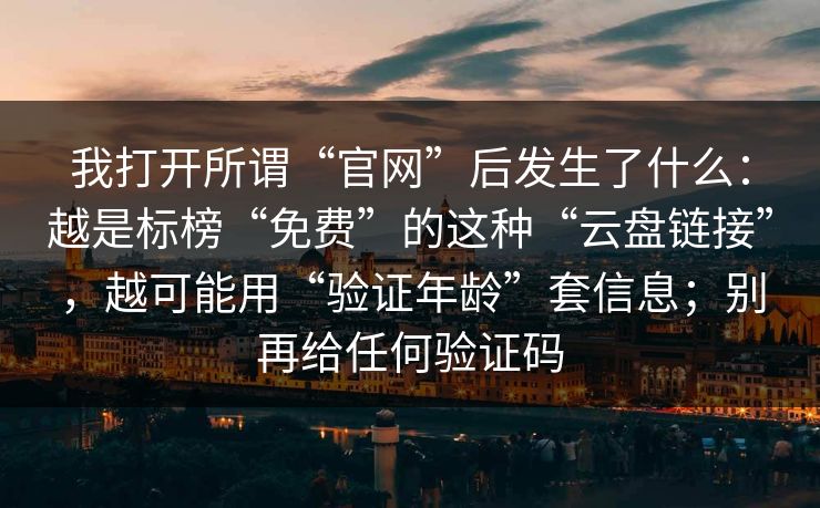 我打开所谓“官网”后发生了什么：越是标榜“免费”的这种“云盘链接”，越可能用“验证年龄”套信息；别再给任何验证码