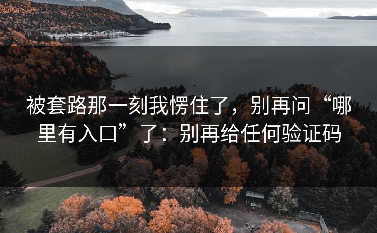 被套路那一刻我愣住了，别再问“哪里有入口”了：别再给任何验证码