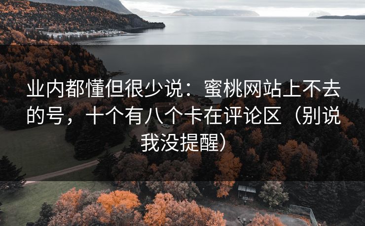 业内都懂但很少说：蜜桃网站上不去的号，十个有八个卡在评论区（别说我没提醒）